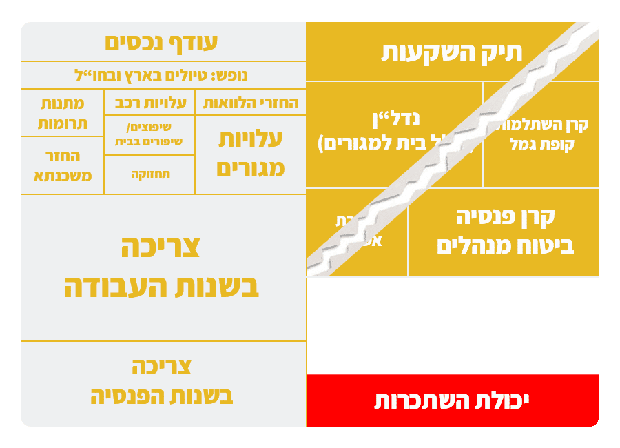 סיכון נכות