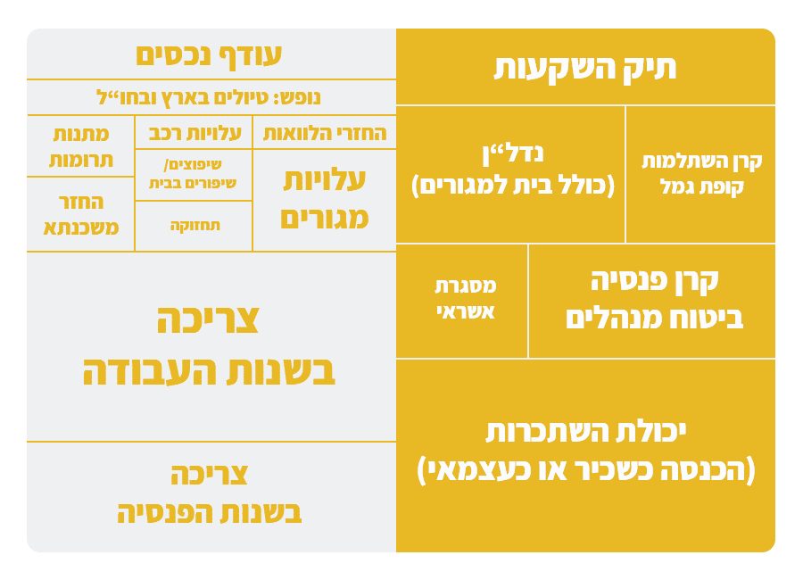 ניהול סיכונים -מקורות וצריכה מורחב