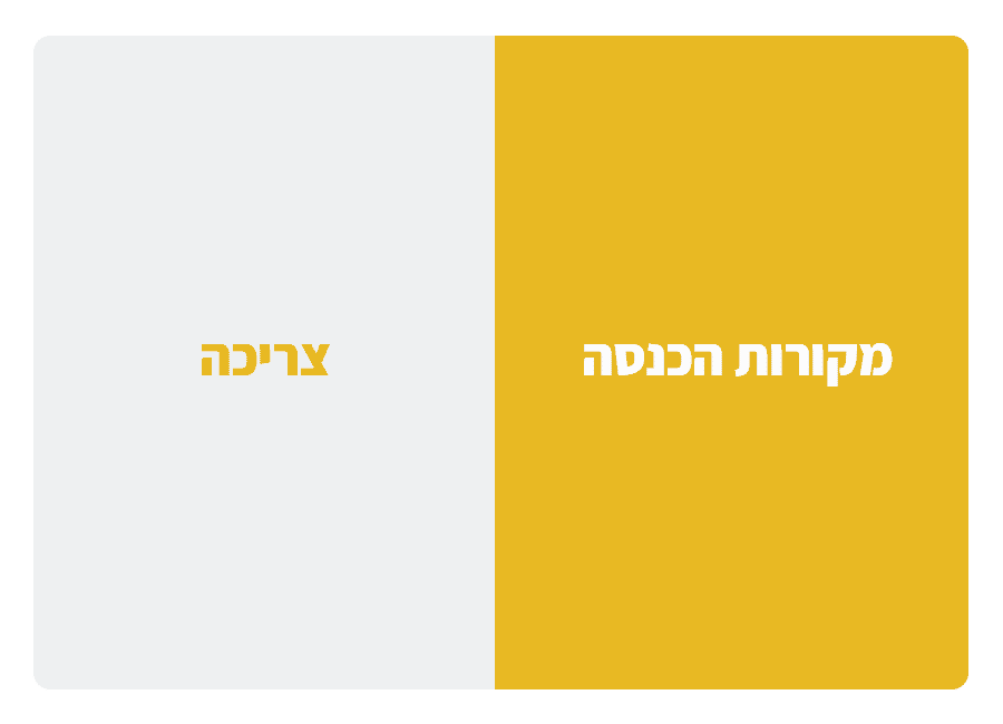 ניהול סיכונים - מקורות וצריכה
